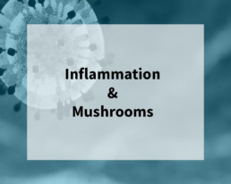 Inflammation_webinar_IMI